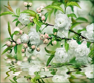 Фотообои 6 листов Дыхание весны оптом